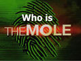 Soul_The_Mole